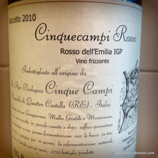 my preferred Lambrusco - Cinque Campi