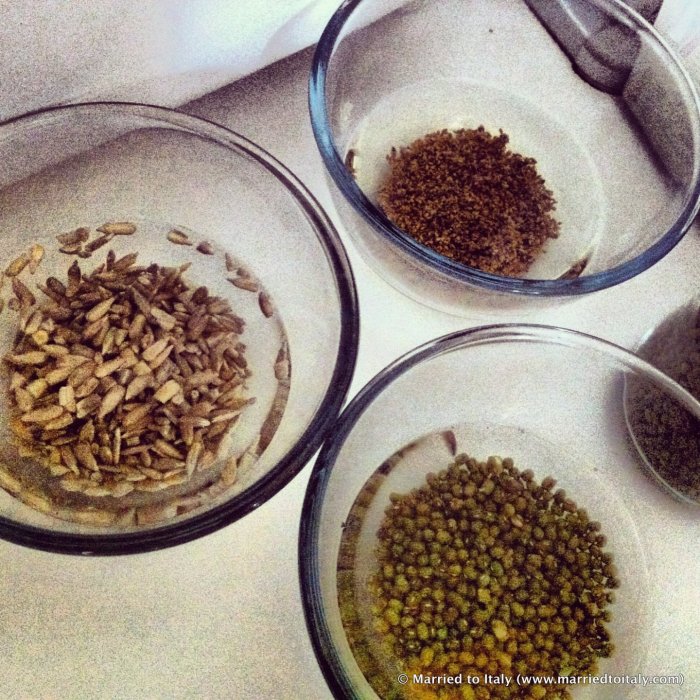 2013-08-09 16.14.38-1