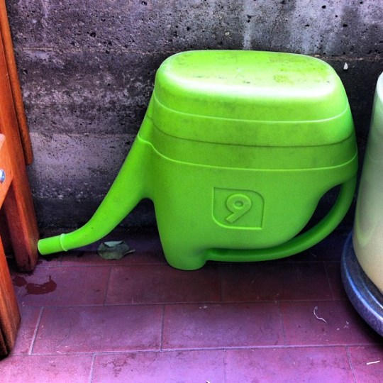 Doing my part in the war against Zanzare Tigre!