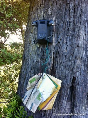 telephone at Lee Bay NZ