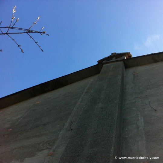 Guido the Gufo - Tawny Owl-002 copy